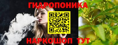СК Новозыбков