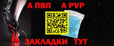 СК Новозыбков