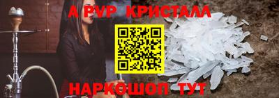 СК Новозыбков