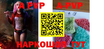 СК Новозыбков